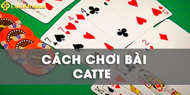 Bài Catte Luck8 - Những Thông Tin Cần Biết Khi Chơi