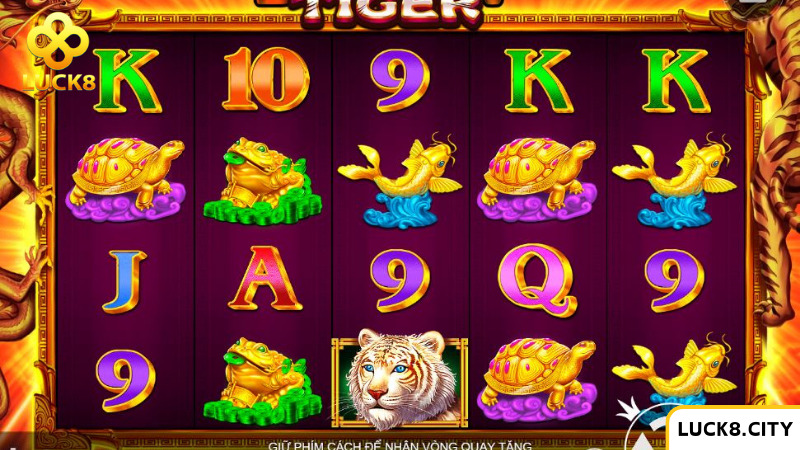 Tham gia Luck8 thật là thiếu sót nếu anh em bỏ qua The Dragon Tiger