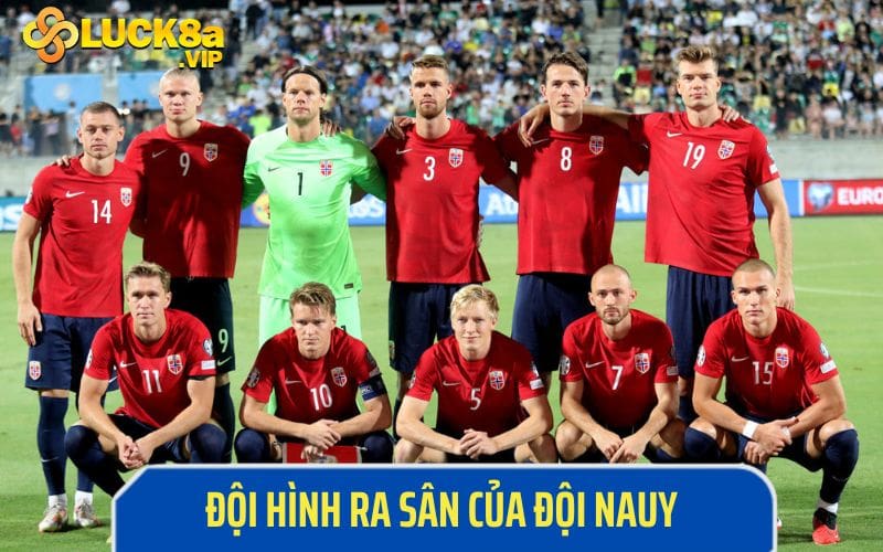 Những ngôi sao vắng mặt tại Euro 2024 của đội tuyển Na Uy 